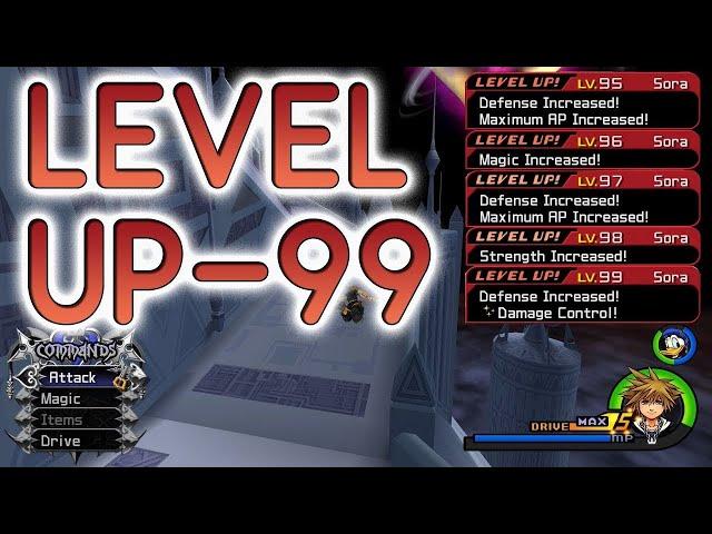 Kingdom Hearts 2 FM 1 Level every 1-1.5 Minutes