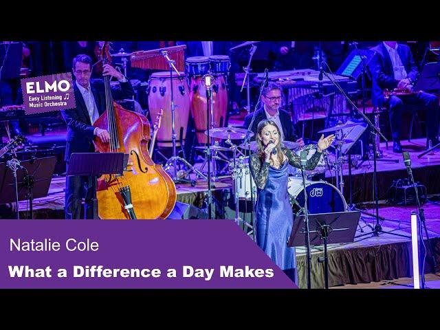 What a Difference a Day Makes (Natalie Cole) - ELMO Bigband feat. Johanna Iser