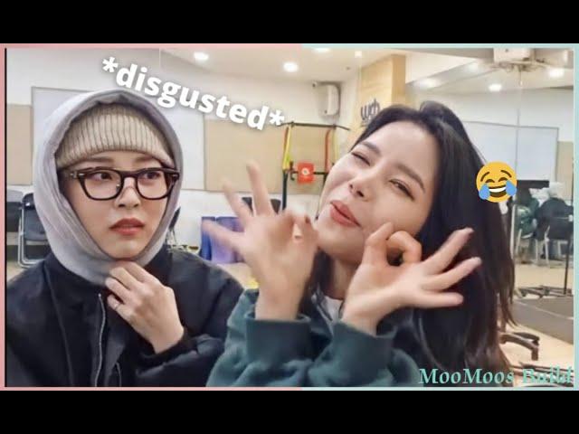 Solar & moonbyul being SUS on Solarsido Live | Highlight