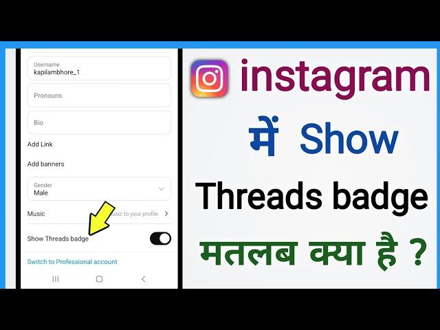 instagram main show threads badge ka matlab kya hota hai