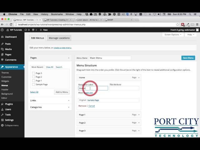 Introduction to WordPress - Theme, Pages and Posts