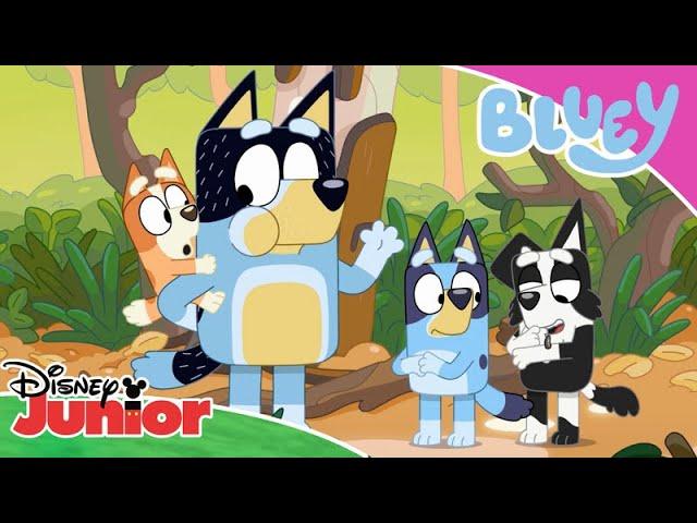 A Wild Adventure  | Bluey  | Disney Junior Arabia