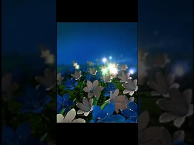 Samsung D410 Startup and Shutdown Animation Sound (Night and Sunset Flowers)