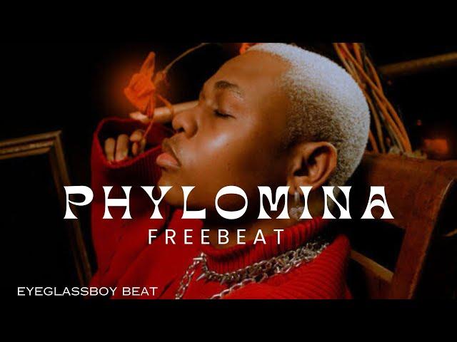 {FREEBEAT} Boy spyce x rema x fireboy x shallipopi x crayon “PHYLOMINA”