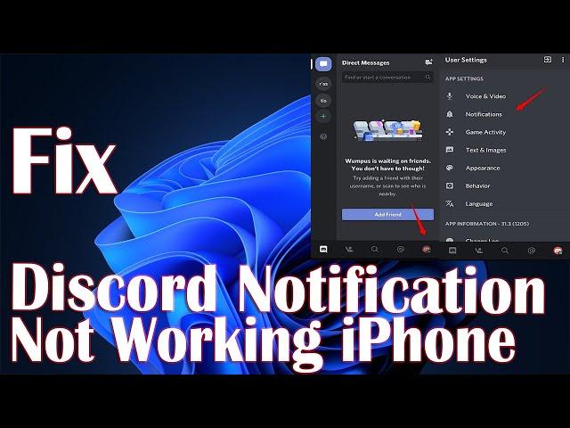 Discord Sounds Notification Not Working On iPhone - How To