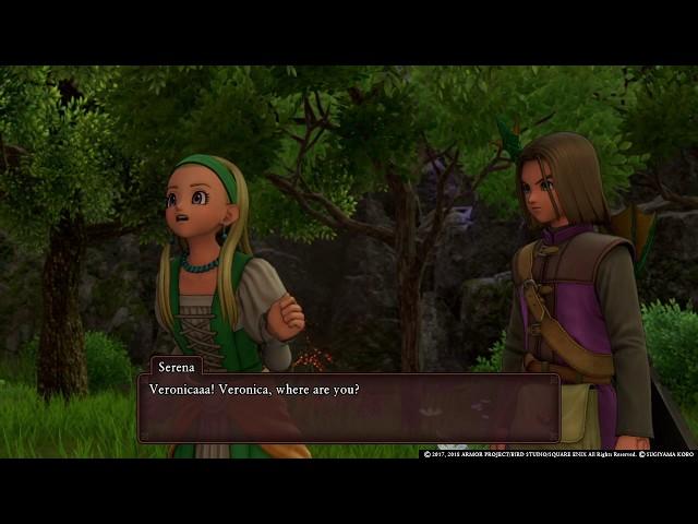 DRAGON QUEST XI: Serena and Veronica