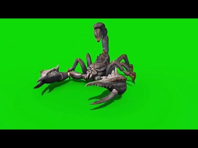 Scorpion green screen VFX