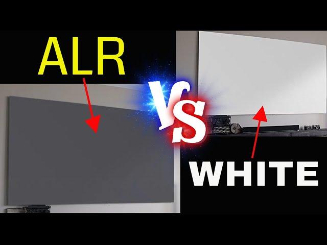 Which Projection Screen is BEST? Vivid Storm ALR vs Amazon White Screen Revealed!