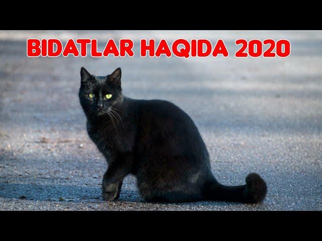 Шукурулло Домла Бидъатлар ҳақида 2020 | Shukurulloh domla  Bidatlar haqida 2020