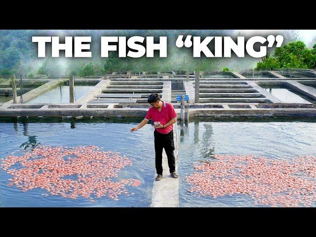 Private Tour of Asia Fish Farmer’s Secret Breeding Village