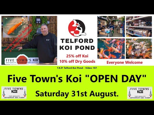 T.K.P. Telford Koi Pond - Video 187 - Five Town's Koi OPEN DAY on Saturday 31st August 2024   #koi