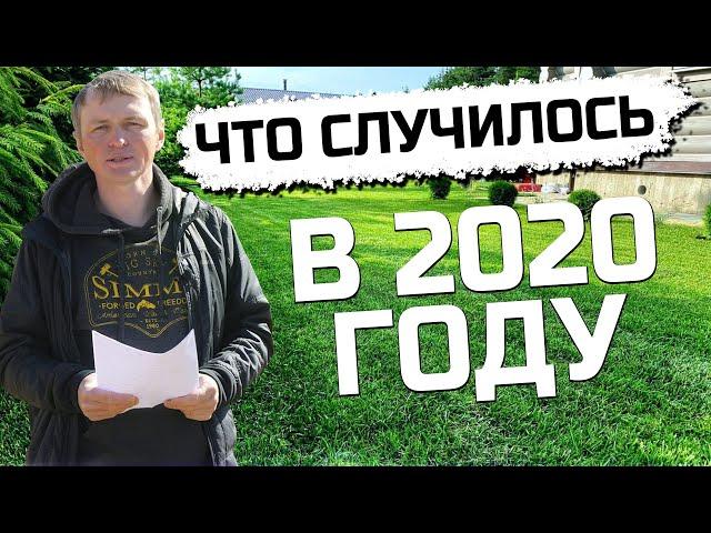 Укладка рулонного газона под ключ // Итоги года 2020