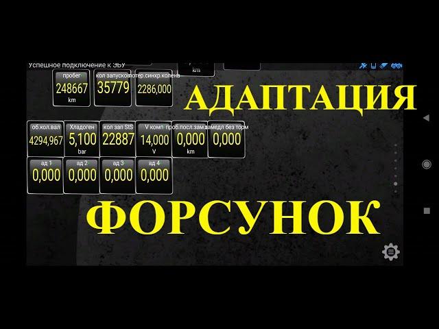 Адаптация форсунок на К9К636