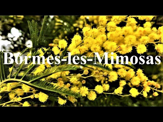 Bormes les mimosas - Village du var - french riviera - Côte d'azur