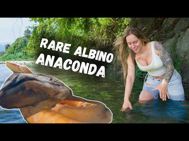 Searching for Giant Anacondas in Colombia!