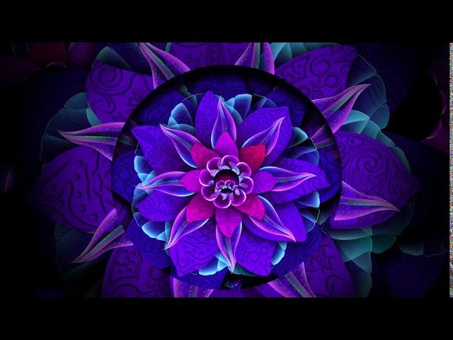 Abstract Flower Background Loop - Animation Videos | No Copyright.