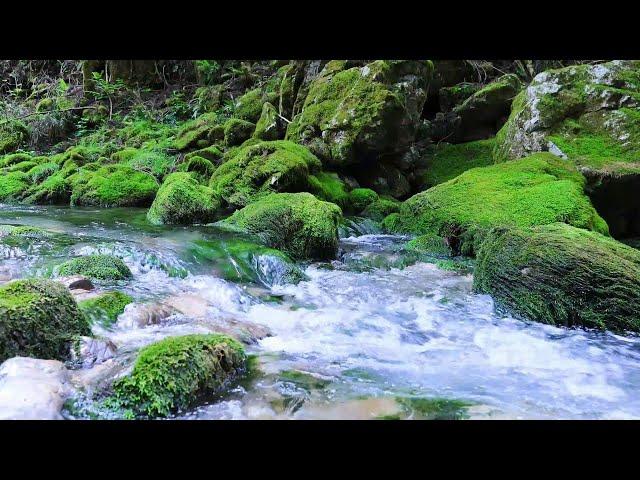 The sound of the river (the murmuring of the river) that purifies the mind considerably[study,sleep]