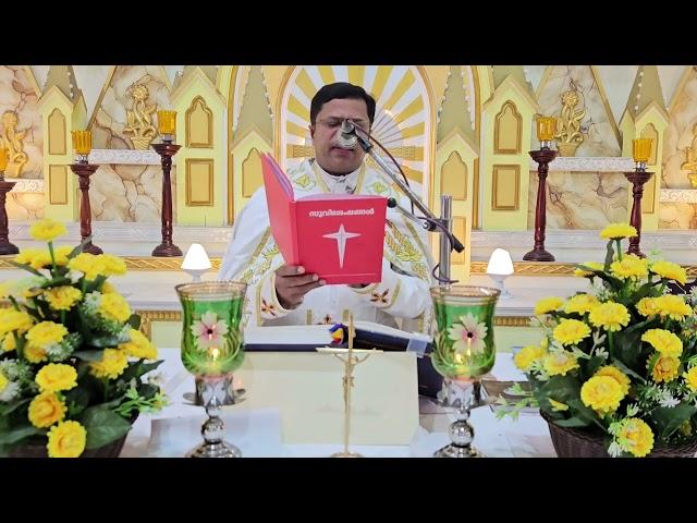 Sunday Holy Mass November 17   5.30 AM I Malayalam I Syro Malabar I Fr Bineesh Augustine