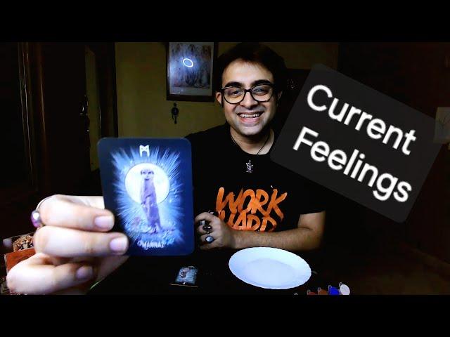 Aapke Person Ke Hidden Truth | Shamanic Message | Current Feelings | Tarot Reading | Runes Reading