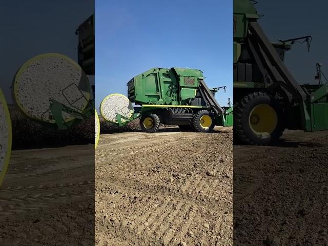 It's cotton harvest time in California!   #agriculture #harvest