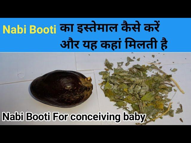 Nabi booti ka istemal ! Nabi Booti For pregnancy ! how to use Nabi Booti ! Nek Rasta