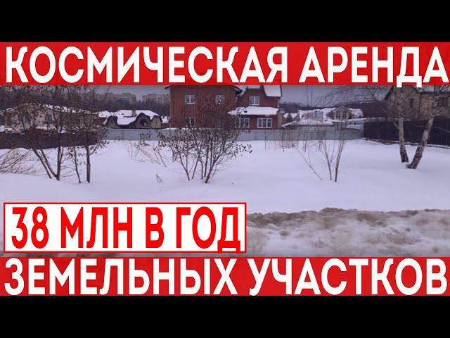 Участок с аукциона за 38 миллионов рублей в год. Зачем нужная такая аренда?