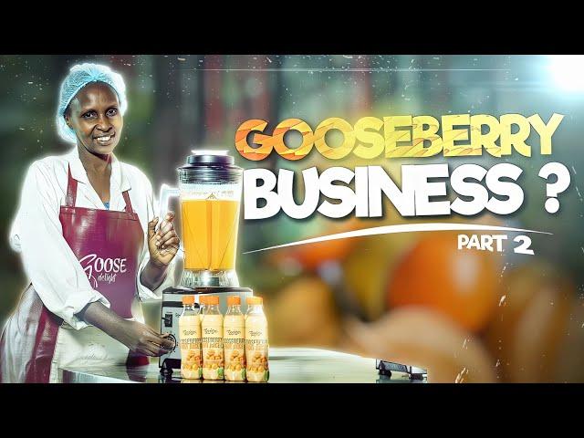 Discover the market, demand and processing of gooseberries plus its nutrition in Viola's part 2