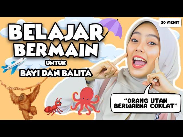 Belajar Kata Untuk Balita - Warna, Mengenal Hewan, Lagu Interaktif Untuk Balita Bersama Kak Nisa