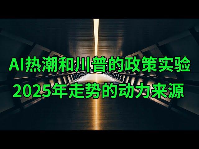 AI热潮和川普的政策实验 2025年美股走势的动力来源(美股天天说20241231)