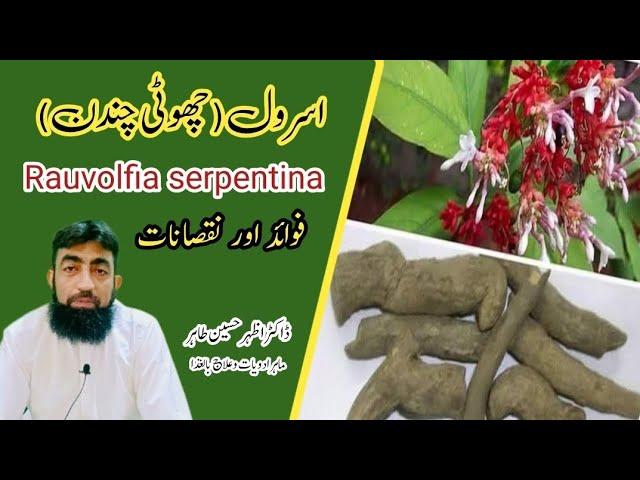 health benefits of Rauvolfia serpentina | choti chandan k faydy or nuqsanat | Dr Azhar Husain Tahir