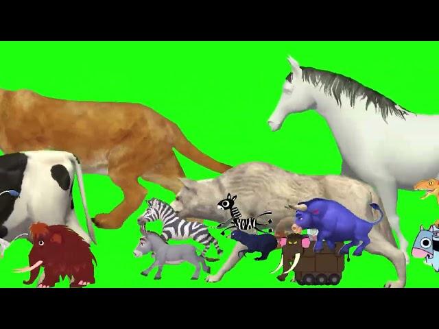 Happy Journey of Animals on Green screen|Cartoon animal stampede green screen video no copyright