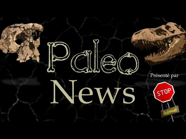 Paleonews 6- Dino dans l'ambre, Venin préhistorique et Lascaux