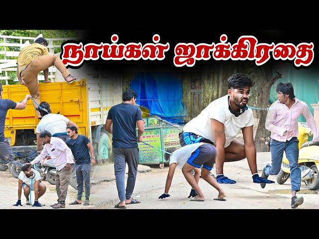 நாய்கள் ஜாக்கிரதை...| SARATH SARMESH COMEDY VIDEO | NAGAI360* HEAD