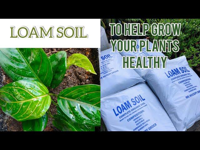 LOAM SOIL || READY MIX || POTTING MIX AVAILABLE