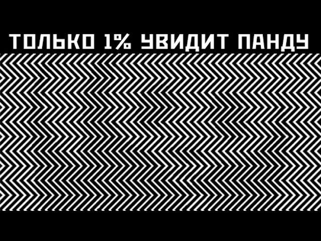 Тест на Зрение - 10 Фото, Которые Проверят Твое Зрение