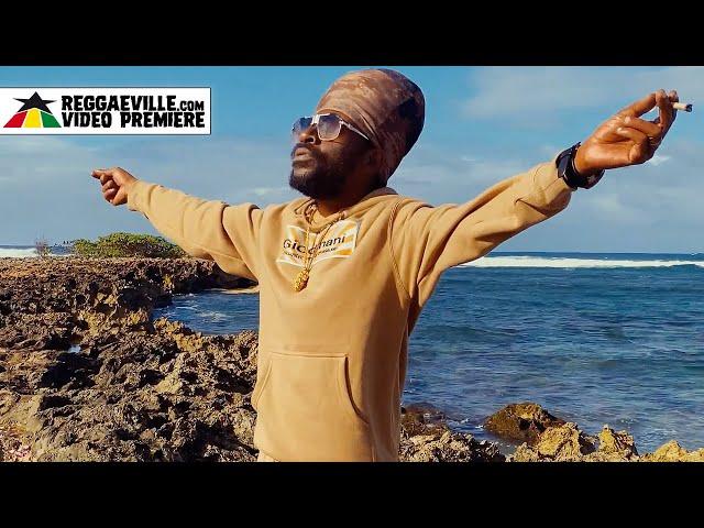 Perfect Giddimani - Reasons [Official Video 2023]