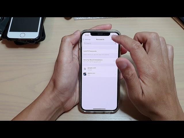 iPhone 12/12 Pro: How to Manually Add In Autofill Passwords