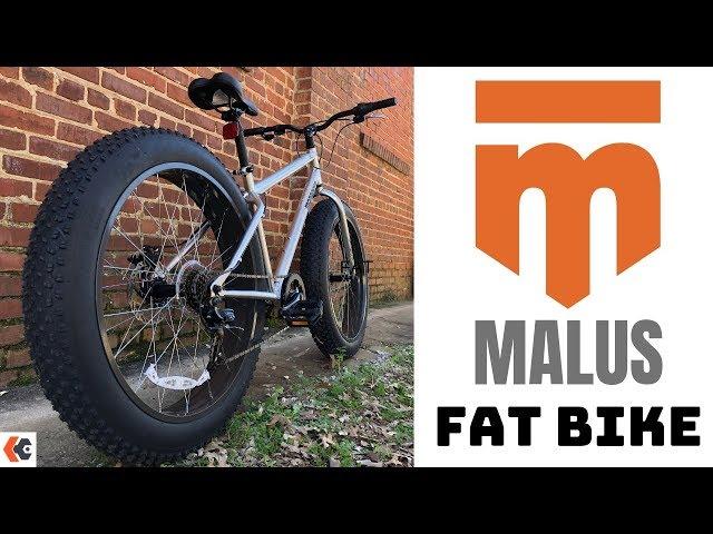 Mongoose Malus Fat Tire Bike from Amazon