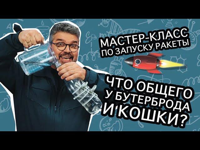 Что общего у бутерброда и кота? / Проверено наукой