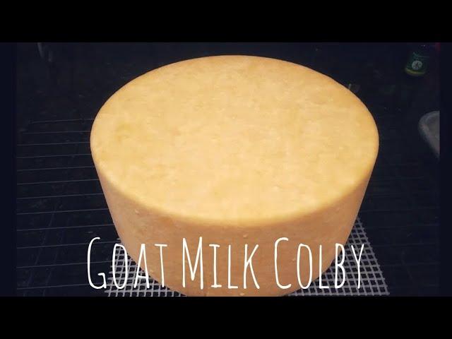 Goat Milk Colby - Cheesemaking at Home