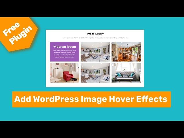 How To Add WordPress Image Hover Effects Using Elementor page builder