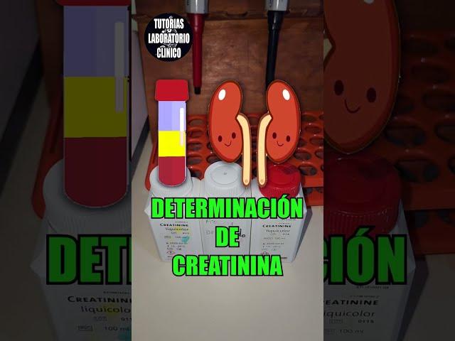 🫘Como Hacer la Determinación de CREATININA en el Laboratorio Clínico-Tutorial