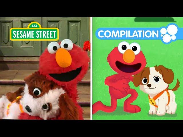 Sesame Street: Celebrate Puppy Day with Elmo & Tango | 1 Hour Compilation