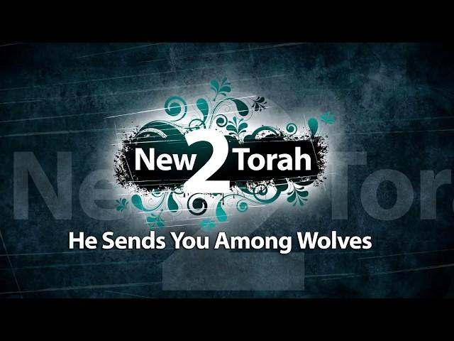 He Sends You Among Wolves - Wolves Eat Sheep