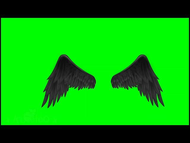 .• Black Wings •. // Green Screen \\