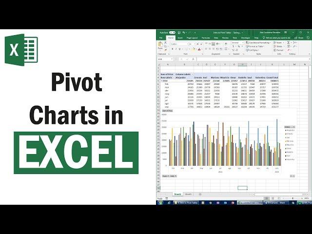 Full Excel Tutorial – 5/12 – Pivot Charts: Make Awesome presentations