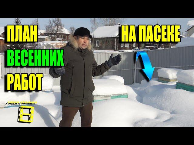 ВАЖНЫЕ РАБОТЫ НА ПАСЕКЕ ВЕСНОЙ! ПОДРОБНЫЙ ПЛАН ДЛЯ НАЧИНАЮЩИХ ПЧЕЛОВОДОВ 22-8