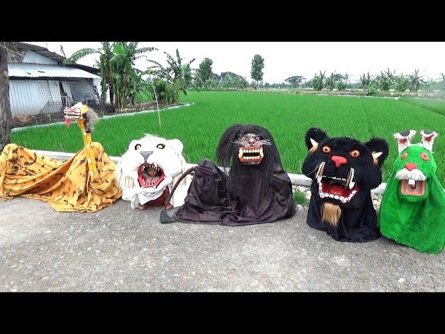 Barongan jerapah barongan jenggot kelinci dan barongan putih keluar jalan santai