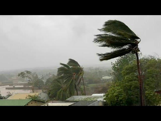 Cyclone Chido leaves trail of devastation in Mozambique | AFP