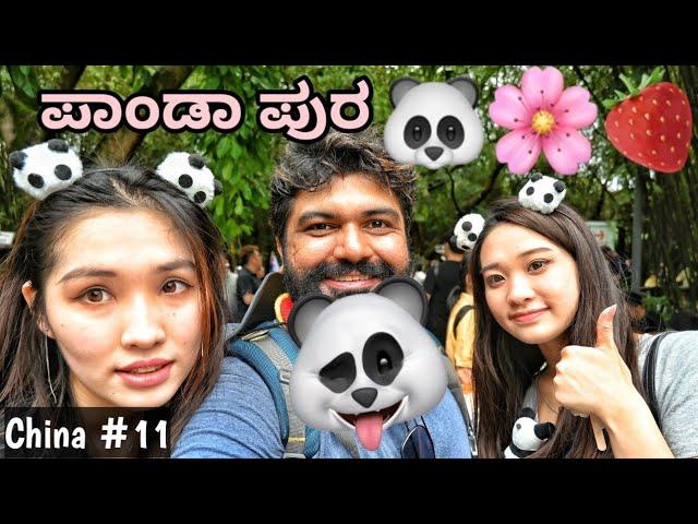 How to meet the PANDA'S in China? | ENG SUBS | Global Kannadiga